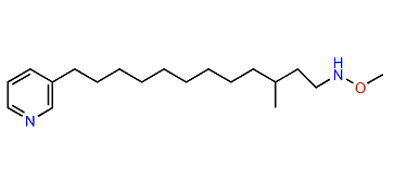 Hachijodine B